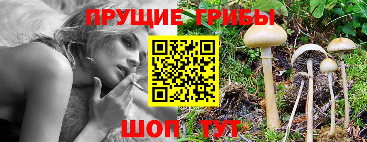 Мелеуз  Галлюциногенные грибы ЛСД  Галлюциногенные грибы Cubensis  Вход с VPN 