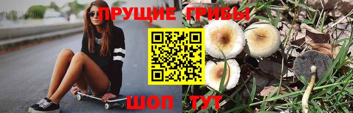 Псилоцибиновые грибы Psilocybe Мелеуз